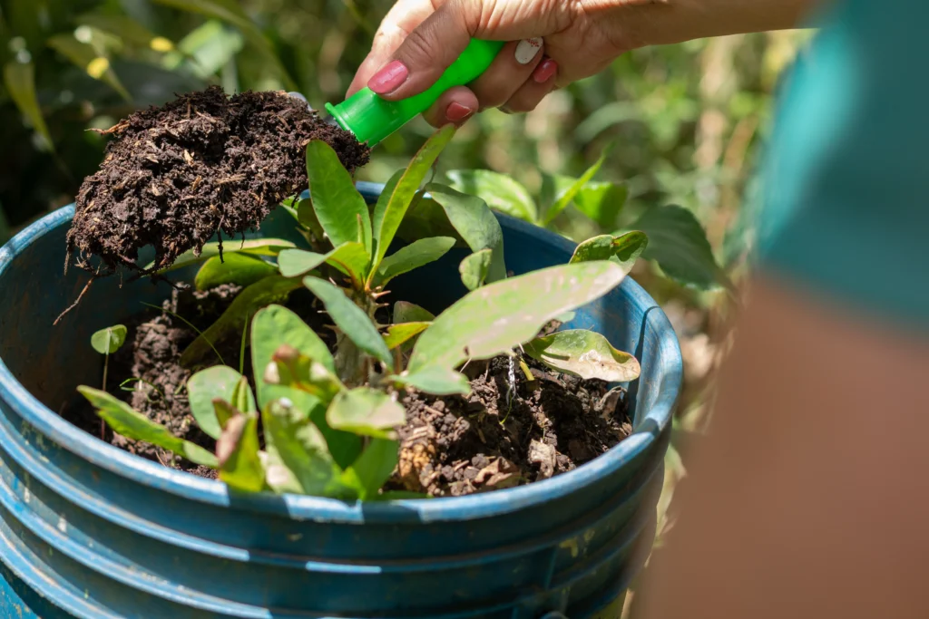 The Advantages of Organic Fertilizers: A Comprehensive Overview for Gardeners 1 Advantages of organic fertilizers