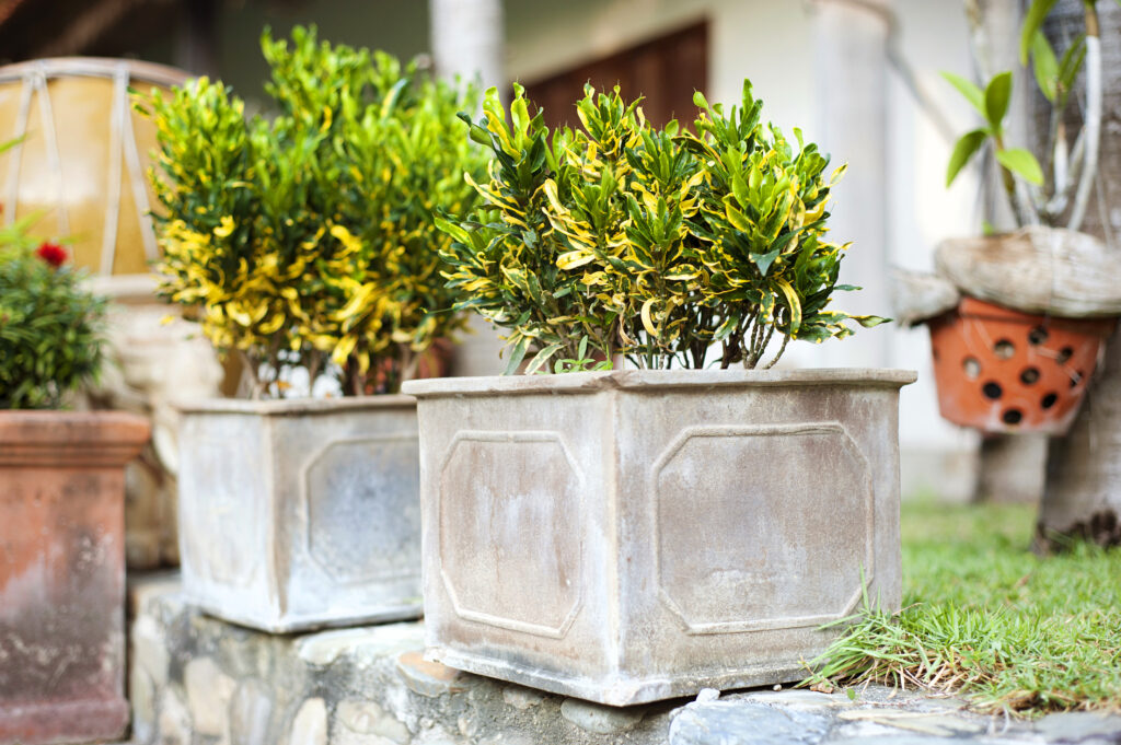 Gardening 101: A Novice's Guide to Beginning Your Own Garden 2 Gardening basics