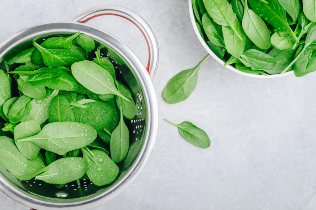 How to Grow Spinach: A Comprehensive Guide for Home Gardeners 6 Harvesting Spinach