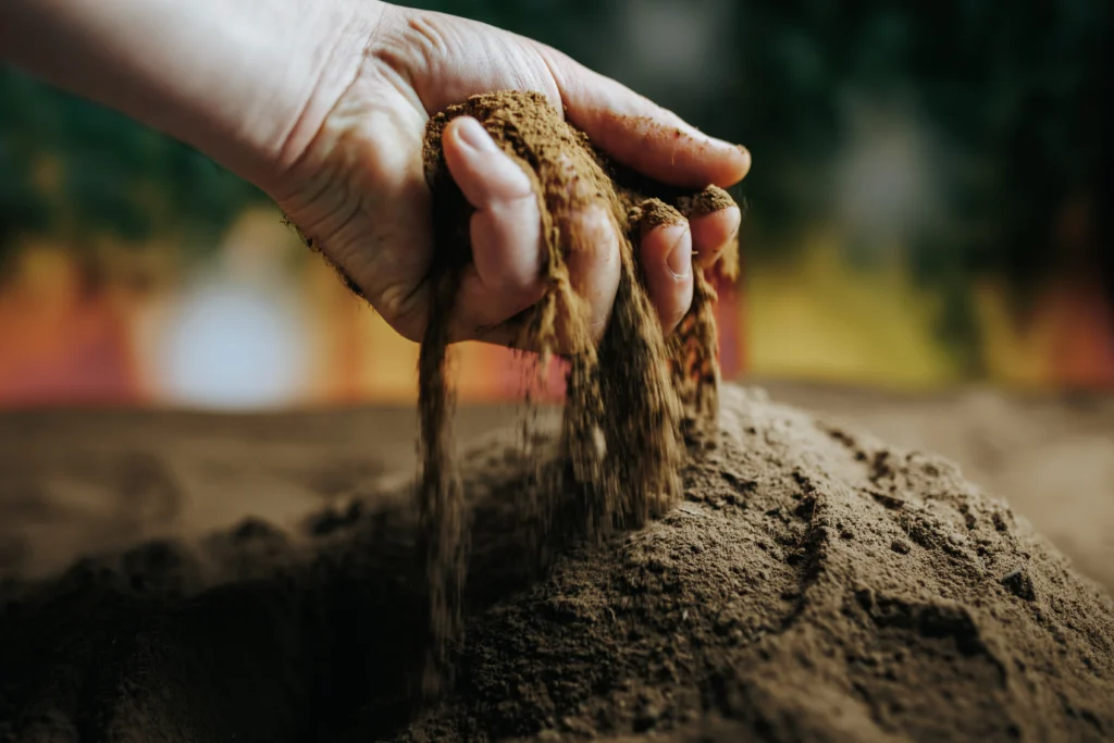 A Comprehensive Overview to Organic Gardening: Growing Natural 3 Balanced soil