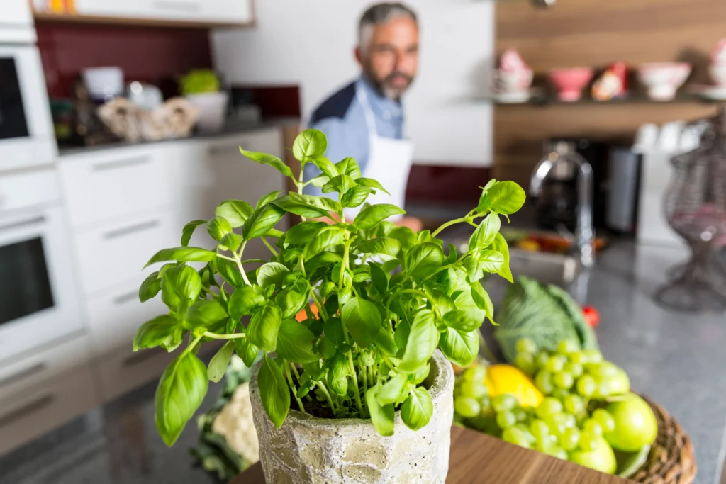 Growing Herbs Indoors: The Ultimate Guide for Home Gardeners 5 Basil