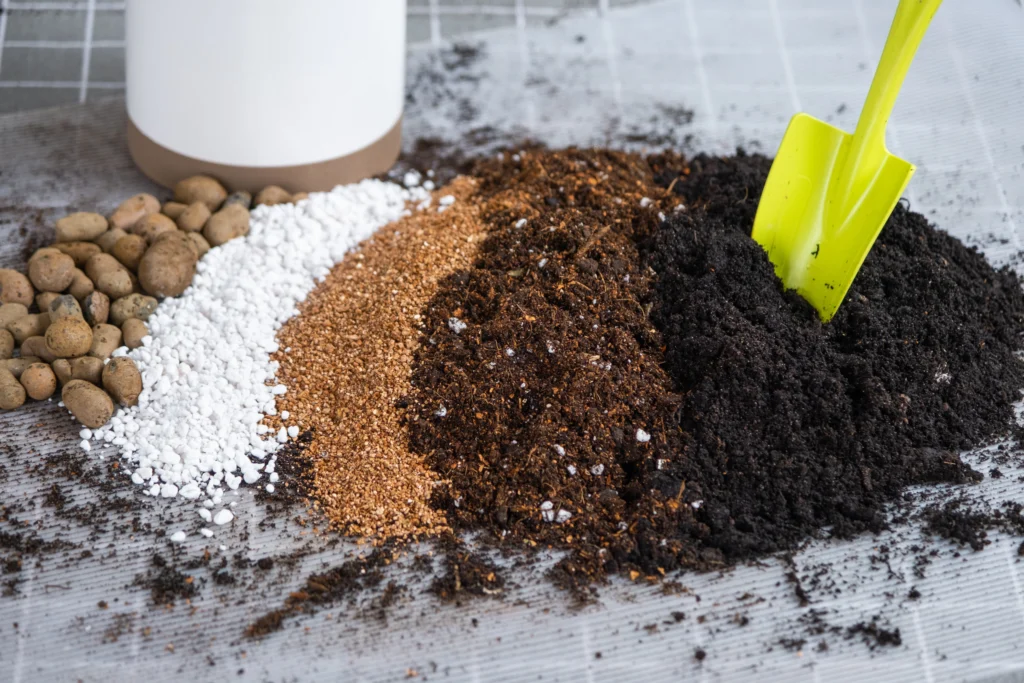 The Advantages of Organic Fertilizers: A Comprehensive Overview for Gardeners 4 Boosted soil health