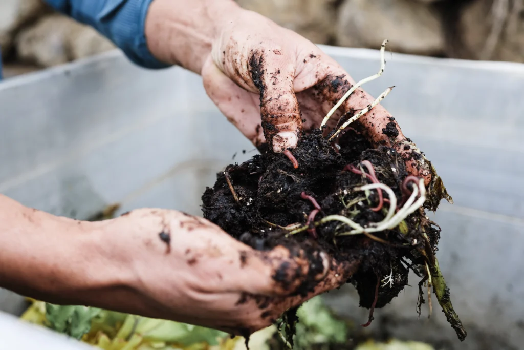 A Comprehensive Overview to Organic Gardening: Growing Natural 6 Composting