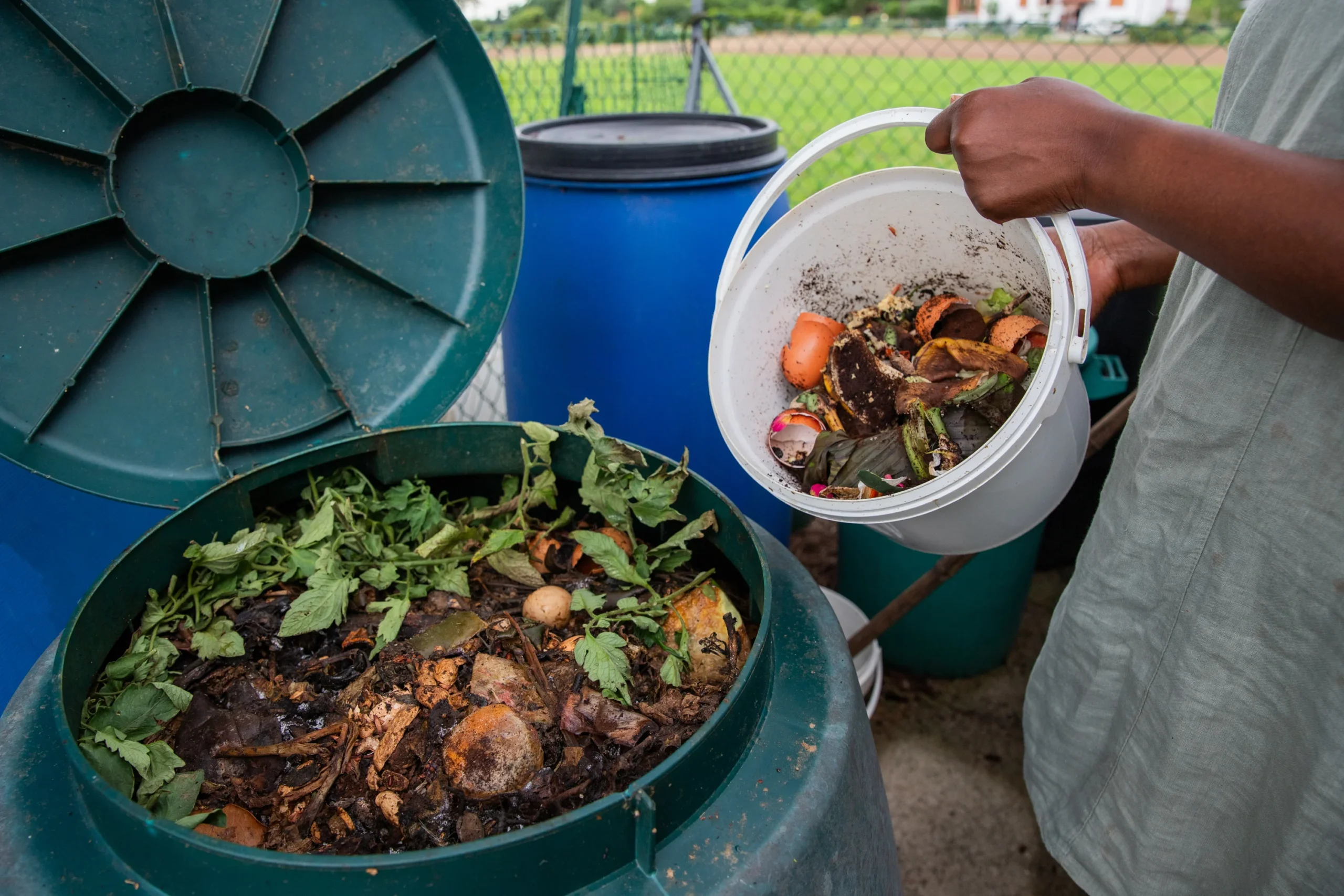 Composting for beginners