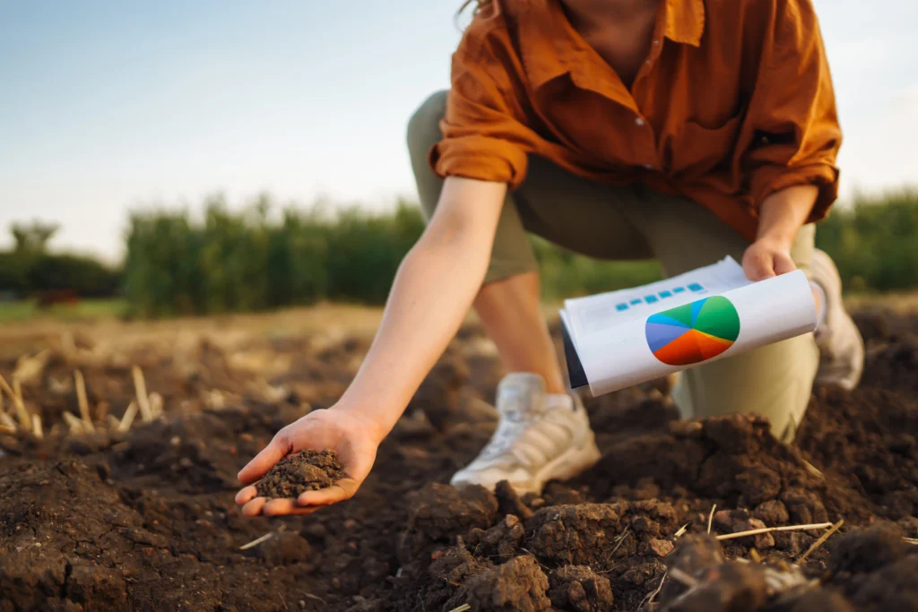 The Advantages of Organic Fertilizers: A Comprehensive Overview for Gardeners 6 Environmentally Friendly