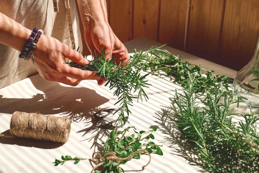 Growing Herbs Indoors: The Ultimate Guide for Home Gardeners 16
Gathering Natural herbs Indoor