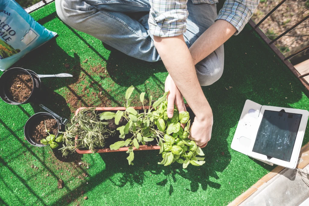 Gardening 101: A Novice's Guide to Beginning Your Own Garden 5 Home Gardening