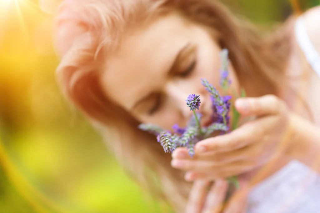 Just How to Expand Lavender: A Full Overview for Home Gardeners 1
How to Grow lavender