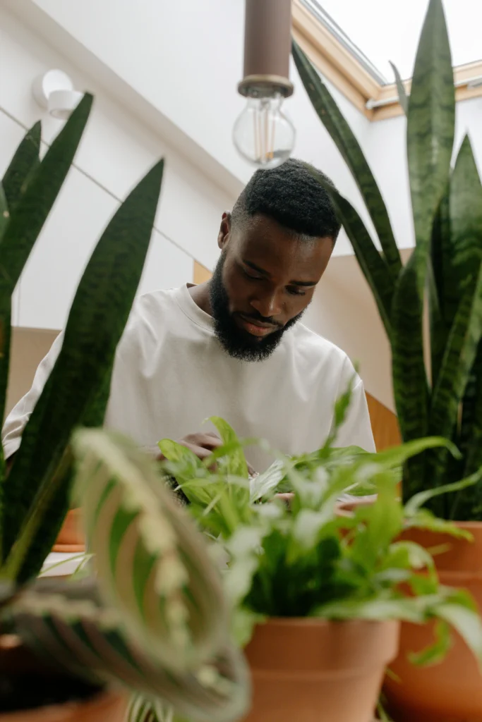 Urban Horticulture: A Comprehensive Guide for City Populations 8 Indoor Gardening