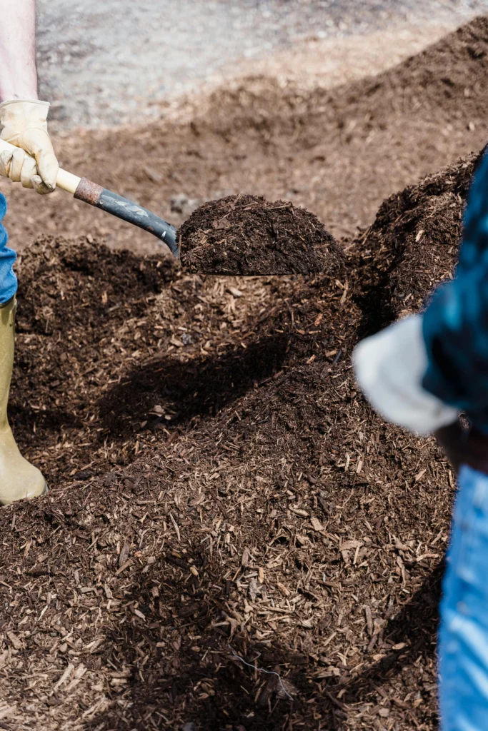 Gardening 101: A Novice's Guide to Beginning Your Own Garden 18 Mulching Soil