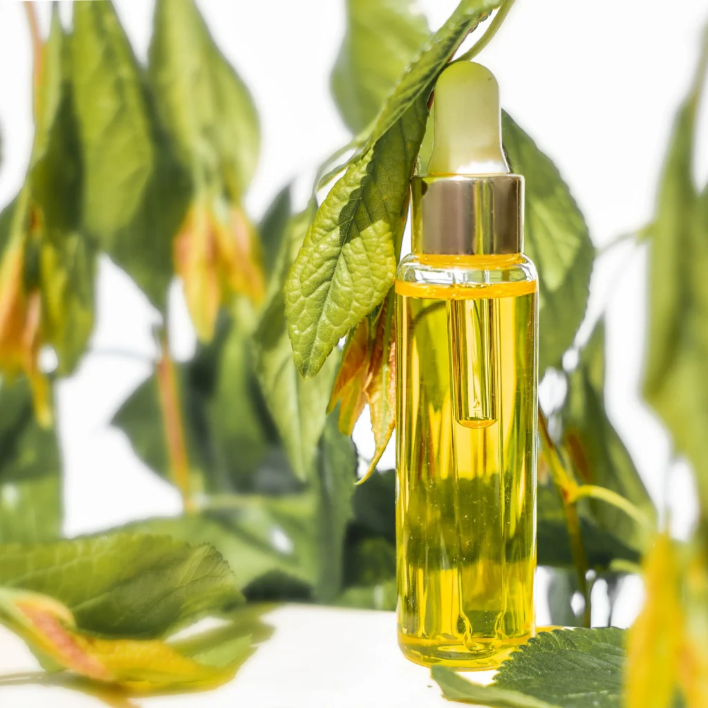 A Complete Overview to Treating Plant Fungi For Home Garden 10 Neem oil