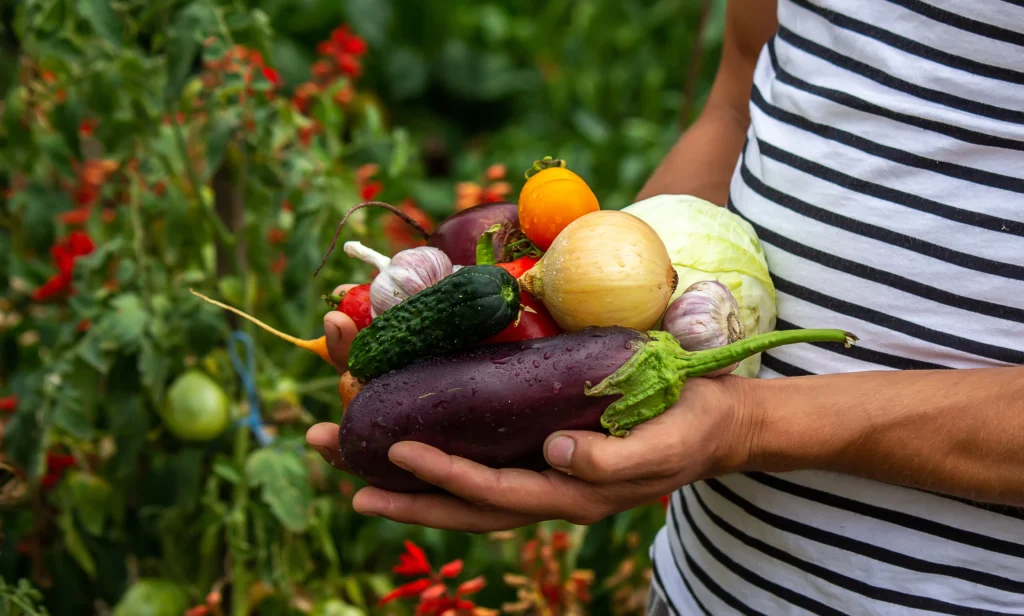 A Comprehensive Overview to Organic Gardening: Growing Natural 8 Organic Produce