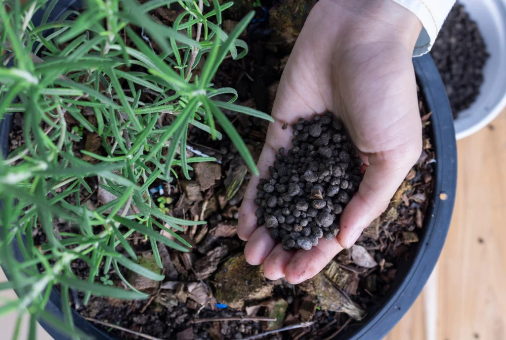 The Advantages of Organic Fertilizers: A Comprehensive Overview for Gardeners 7 Organic fertilizers are safer
