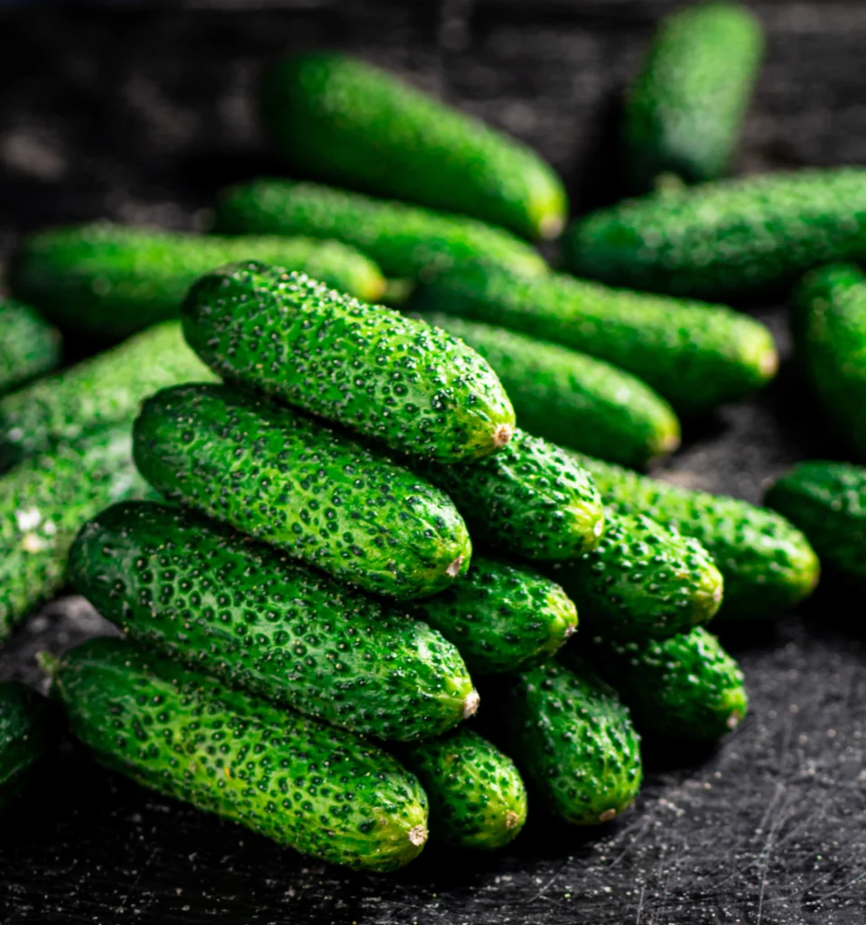 How to Grow Cucumbers: A Total Guide for Home Gardeners 3 Pickle cucumber