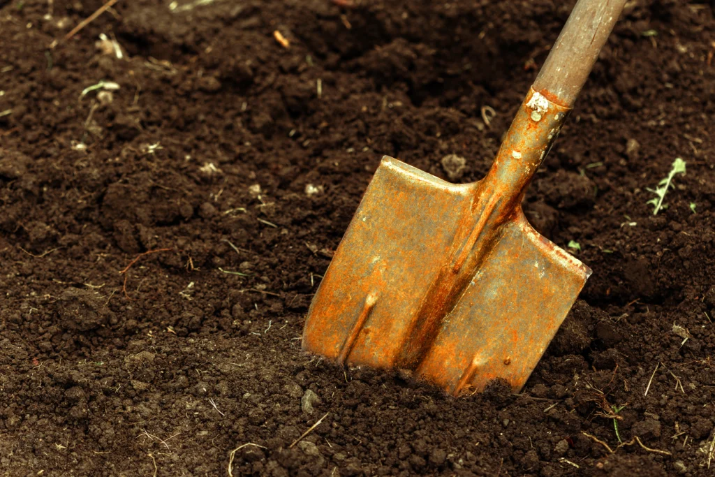 How to Grow Cucumbers: A Total Guide for Home Gardeners 4 Preparing the soil