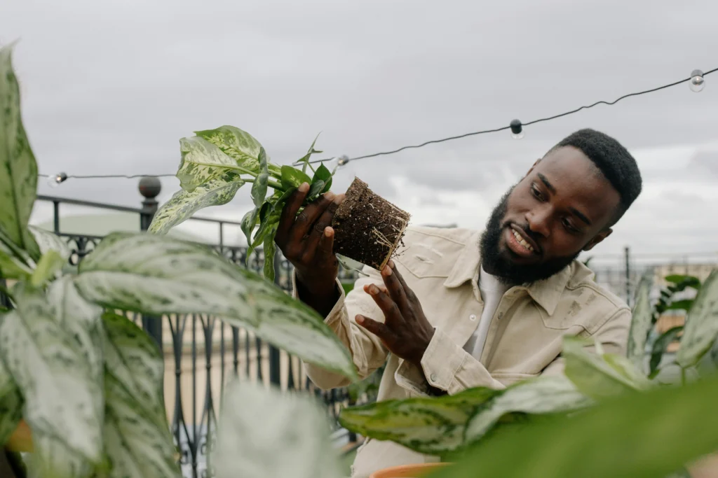 Urban Horticulture: A Comprehensive Guide for City Populations 6 Rooftop Gardening