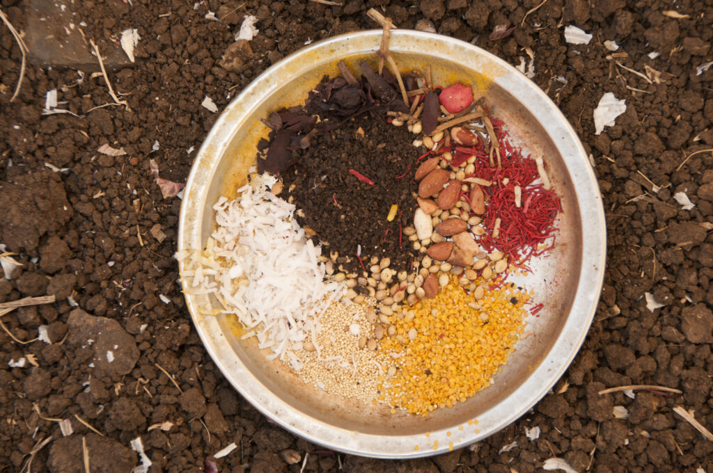 The Advantages of Organic Fertilizers: A Comprehensive Overview for Gardeners 3 Safer for Eating