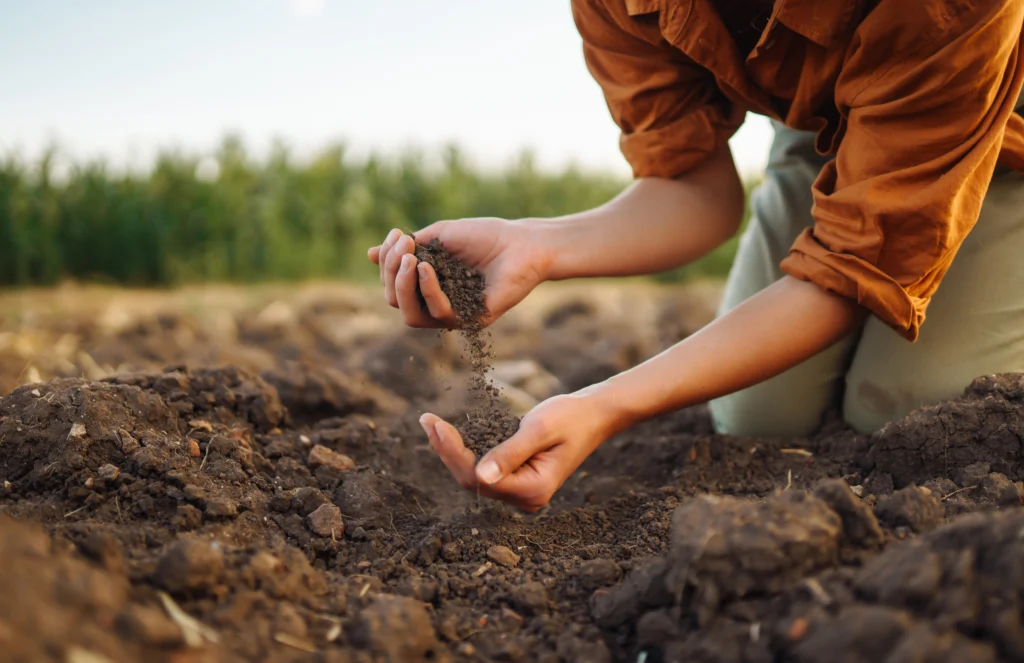 A Comprehensive Overview to Organic Gardening: Growing Natural 9 Soil Preservation