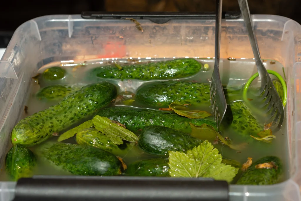 How to Grow Cucumbers: A Total Guide for Home Gardeners 9 Storing cucumbers