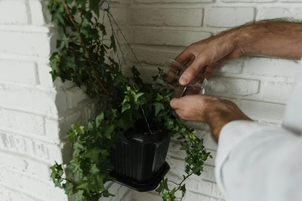 Urban Horticulture: A Comprehensive Guide for City Populations 4 Vertical Gardening