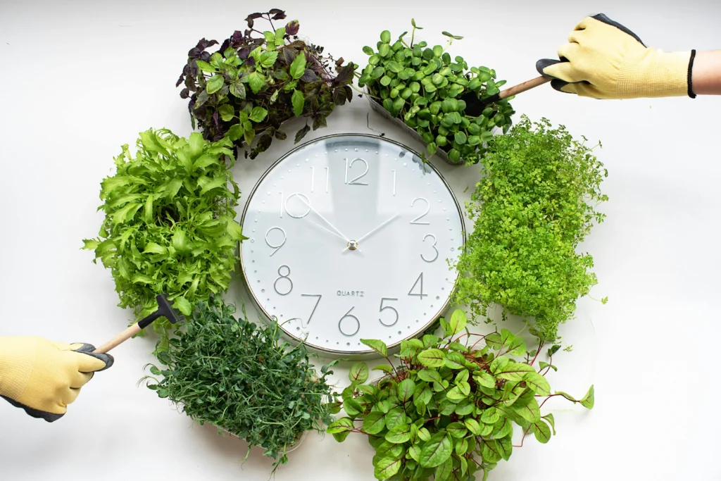 Urban Horticulture: A Comprehensive Guide for City Populations 5 Vertical Gardening in Home