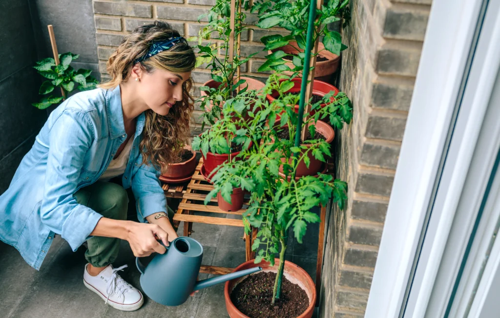 Urban Horticulture: A Comprehensive Guide for City Populations 16 Watering indoor plant