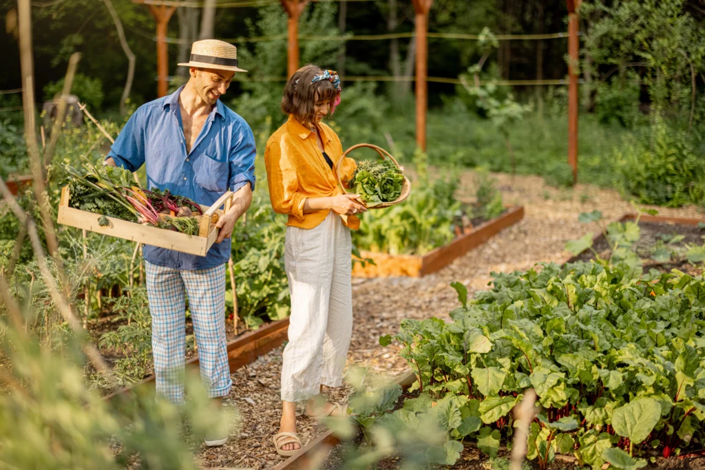 A Comprehensive Overview to Organic Gardening: Growing Natural 2 What is Organic Gardening