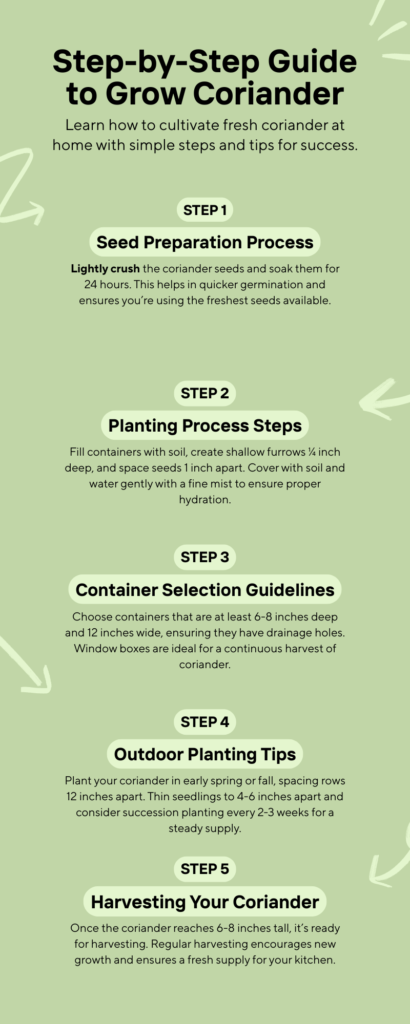 Grow Coriander at Home Infographic