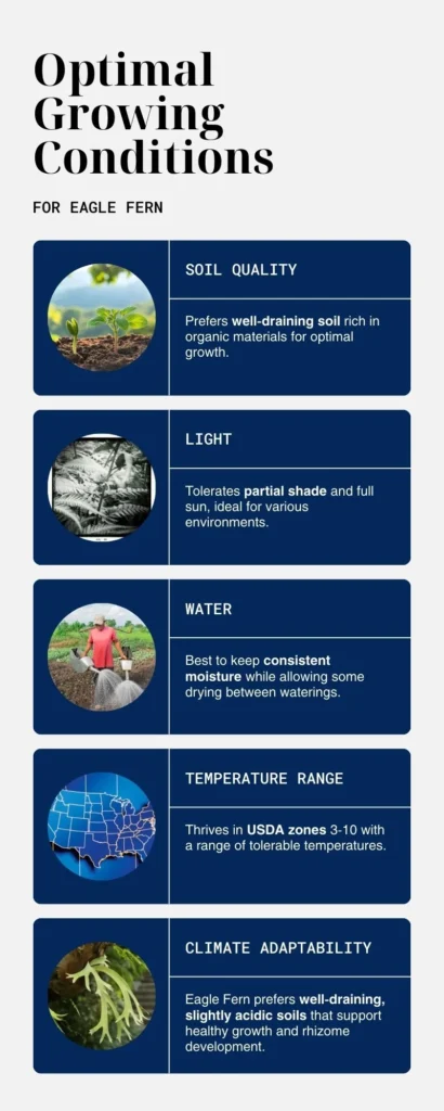 Infographic - Optimal Growing Conditions