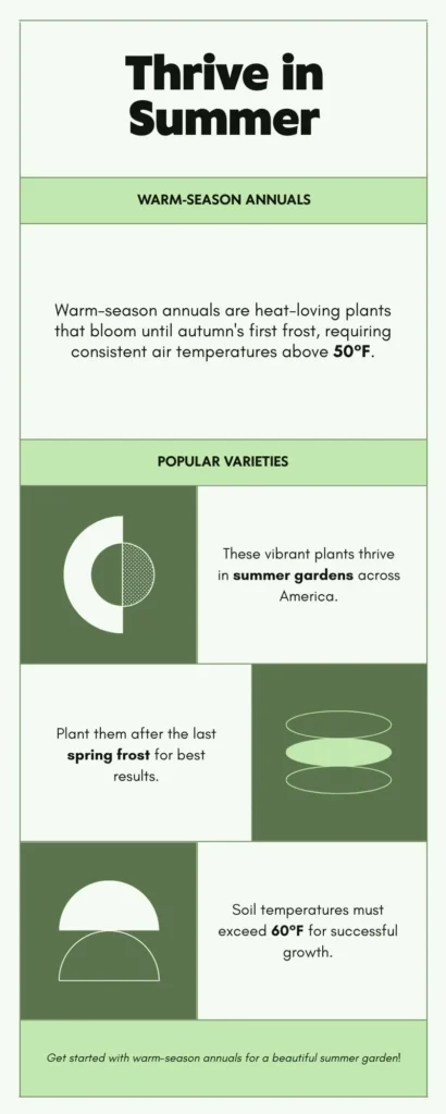Infographic - Thrive in Summer