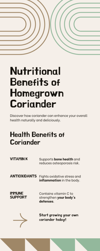 Nutritional Benefits of Homegrown Coriander Infographic
