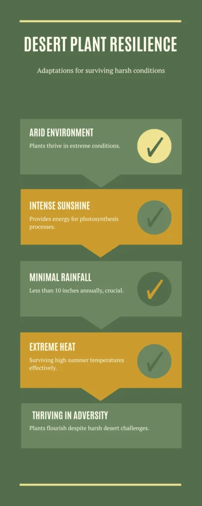 Unlock Thriving Gardens: Your Complete Guide to USDA Plant Hardiness Zones 6 Infographic - Desert Plant Resilience