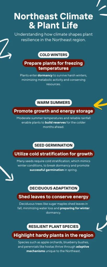 Unlock Thriving Gardens: Your Complete Guide to USDA Plant Hardiness Zones 3 Infographic - Northeast Climate & Plant Life
