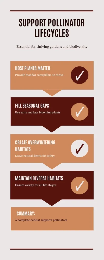 Transform Your Garden: The Ultimate Pollinator Friendly Garden Guide for Bees & Butterflies 5 Infographic - Support Pollinator Lifecycles