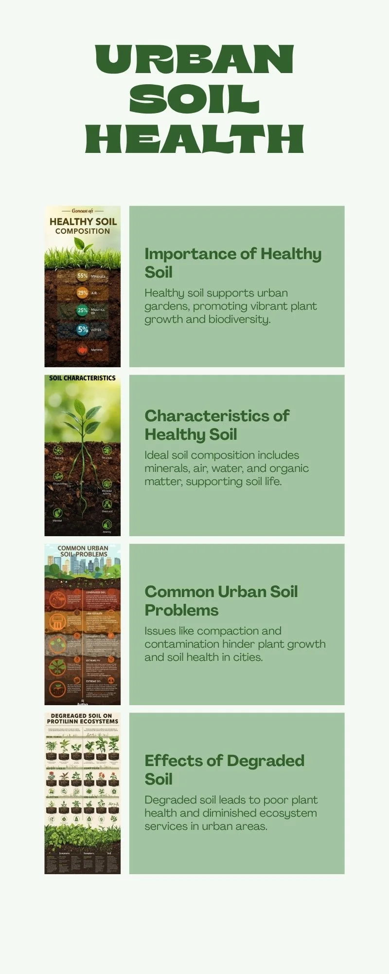 Infographic - Urban Soil Health