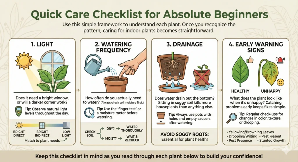 10 Thriving Indoor Plants for Absolute Beginners (Yes, Even You) 1 Quick Care Checklist for Absolute Beginners