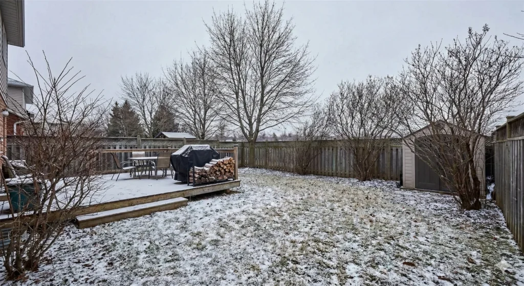 Revive Houseplants Winter Survival Checklist