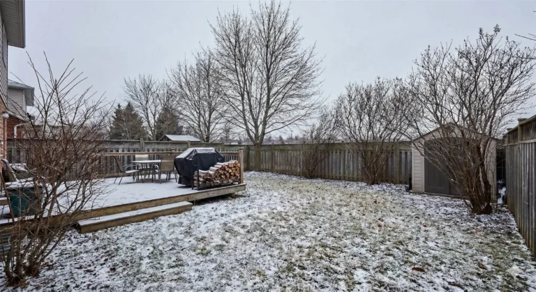 Revive Houseplants Winter Survival Checklist