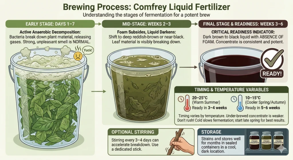 Brewing Process COmfrey liquid fertilizer Infographic