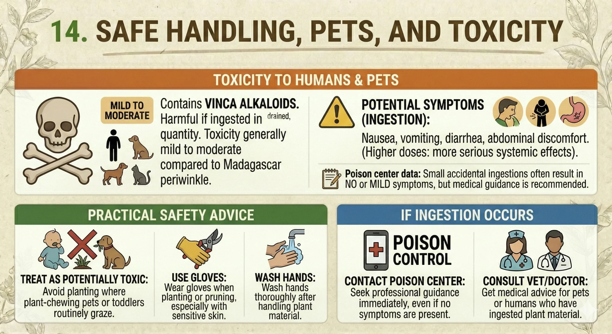 Safe Handling, Pets, and Toxicity Infographic